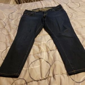 Torrid jeans 14s